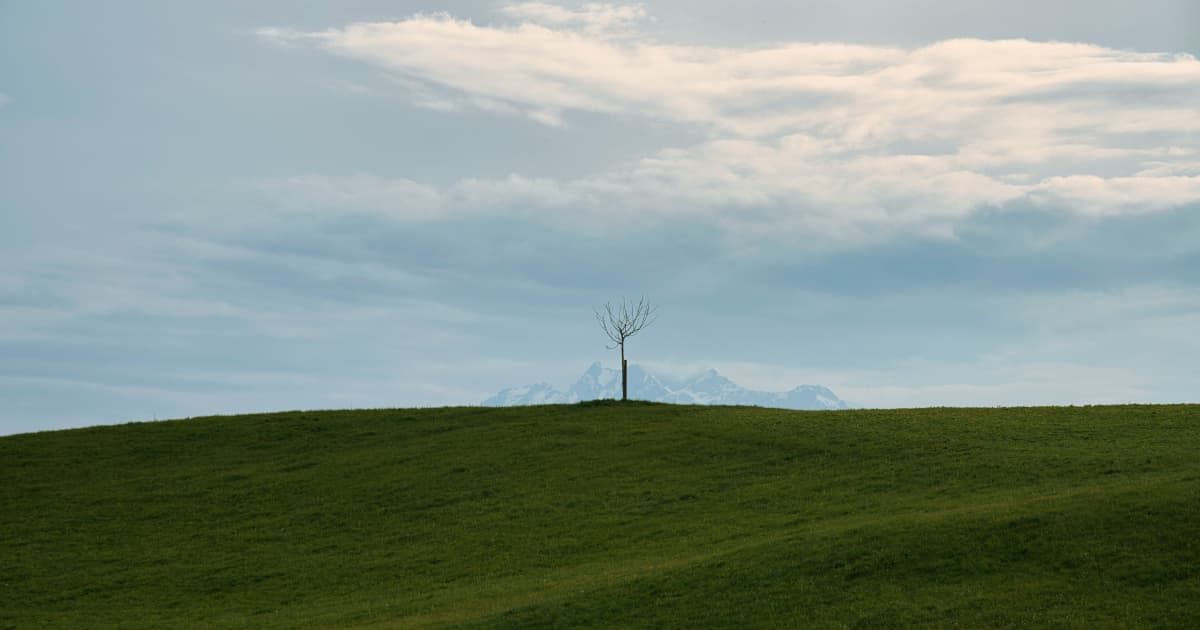 PowerBank Corporation Secures Municipal Approvals for 28.8 MW Community Solar Projects in Skaneateles