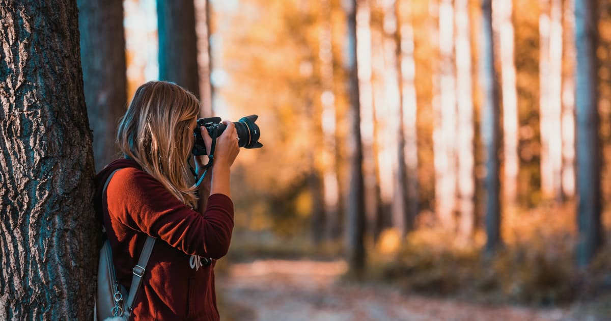 The Storm Windows Release Semiquincentennial Anthem 'AMERICA 250 (GSHGOT)'