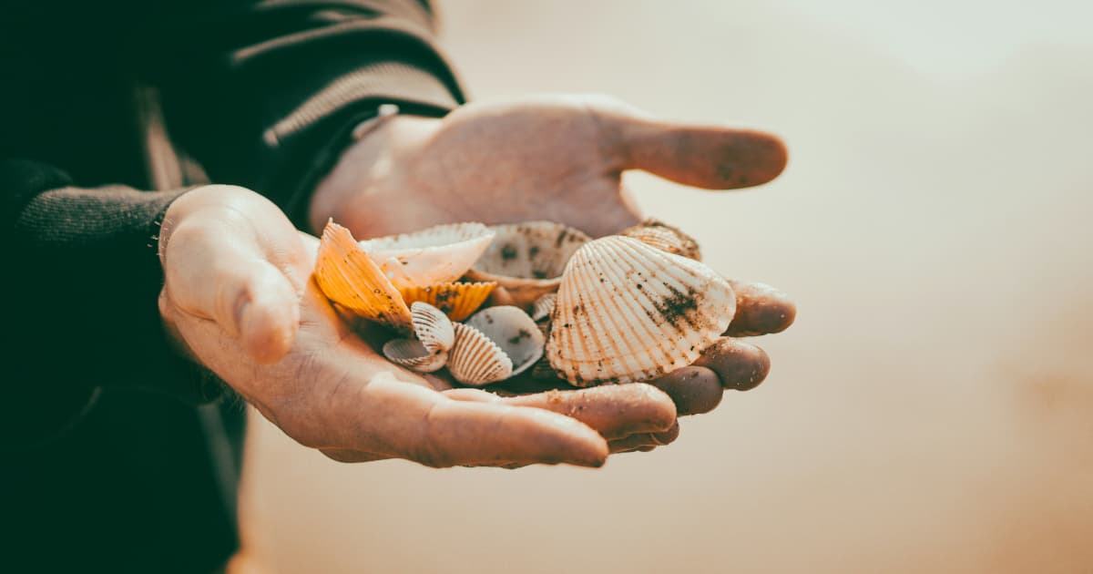 Hospice Care Underutilized Despite Proven Benefits, VNANNJ Advocates for Earlier Conversations