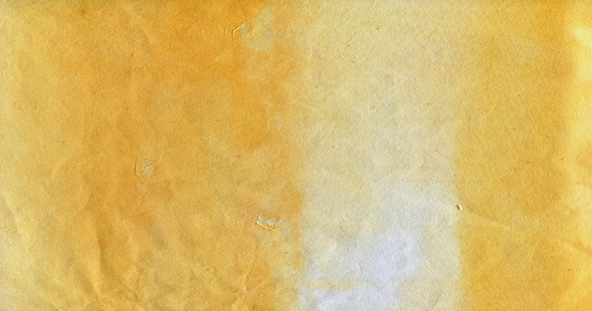 Shincheonji Volunteer Group Expands Environmental Efforts with New York Beach Cleanup Initiative