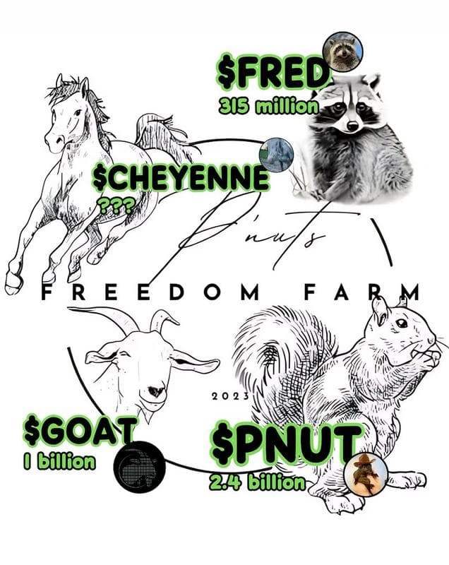 $CHEYENNE Meme Coin: A Blind Horse From P'nuts Freedom Farm Sanctuary Rides Into Crypto Spotlight
