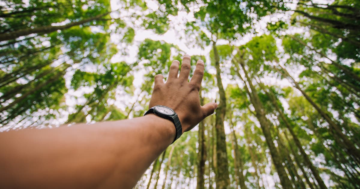 Strategic Capital Access and Community Support Drive Business Resilience During Critical Year-End Period