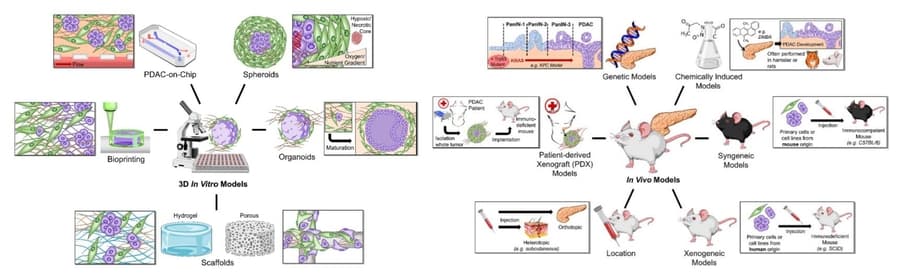 Alfa Cytology Launches Cancer Diagnostic Biomarker Development Services in New York