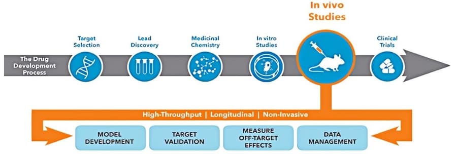 Alfa Cytology Launches Advanced Services for Leukemia Small Molecule Drug Development