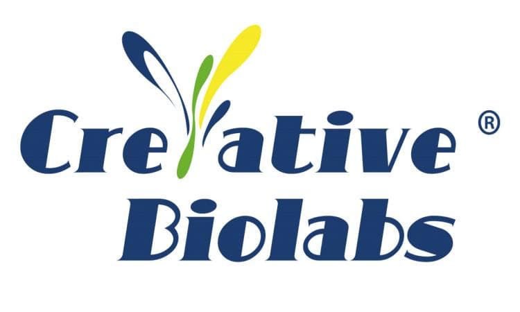 Creative Biolabs Advances Gut Microbiota Research with Cutting-Edge Technologies